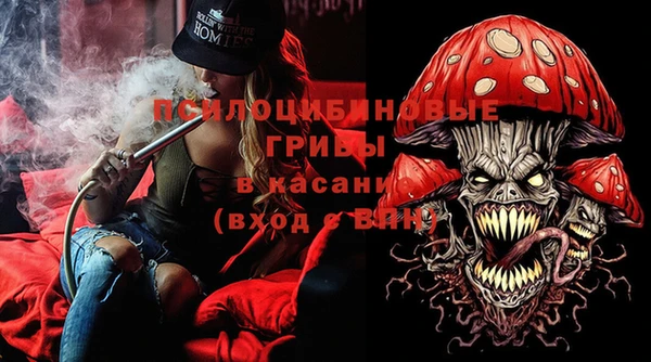 PSILOCYBIN Карталы