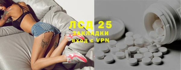 PSILOCYBIN Карталы