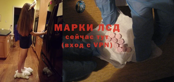 гидропоника Каменка