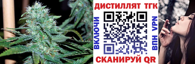 где купить   Стародуб  ТГК THC oil 