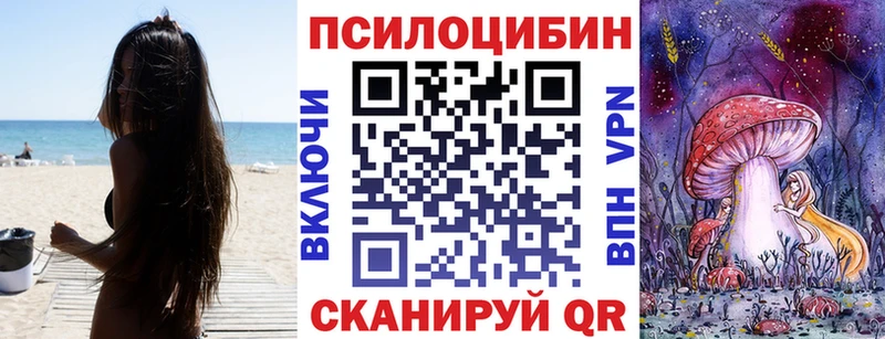 Псилоцибиновые грибы MAGIC MUSHROOMS  Стародуб 